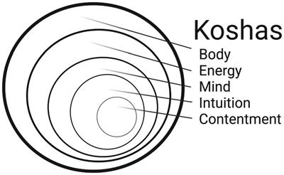 Development and validation of the multidimensional impacts of movement scale (MIMS) for yoga, weightlifting, and running